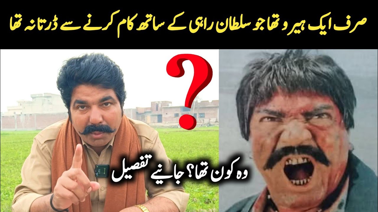 Sirf Aik Hero Aisa Tha Jo Sultan Rahi Ke Sath Kaam Se Darta Na Tha