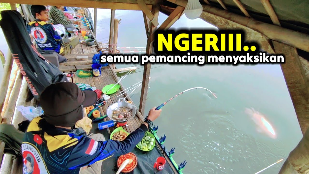SOSOK YANG JARANG TERLIHAT KINI MUNCUL TERPIKAT SAMA UMPAN IKAN MAS NILA || MANCING MANIA