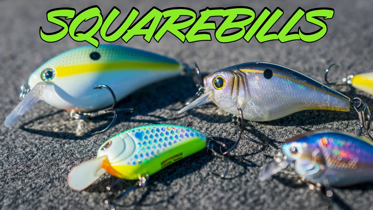 Squarebill Crankbait Tricks To Catch Fall Bass