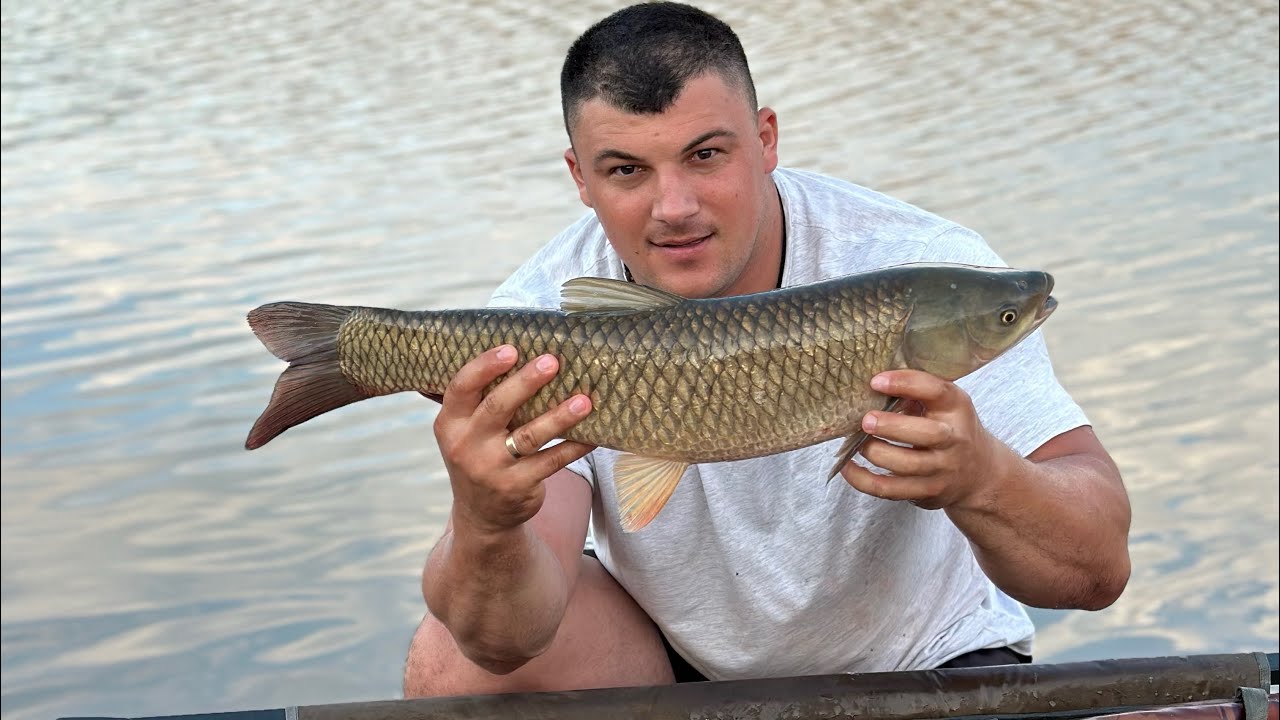 Рыбалка в Крыму Алибай  #рыбалка#рыбалканаозере #fishing #carpfishing #карповаярыбалка #амур