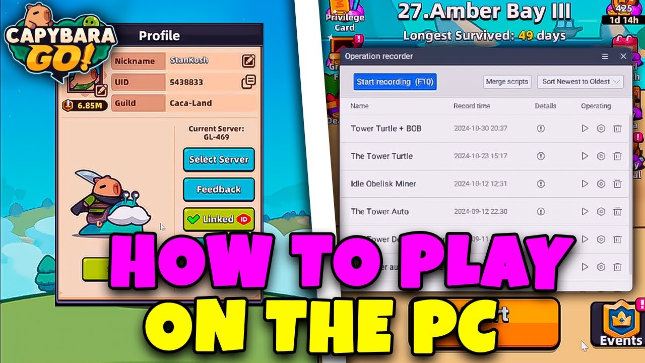 HOW TO PLAY ON THE PC // CAPYBARA GO!