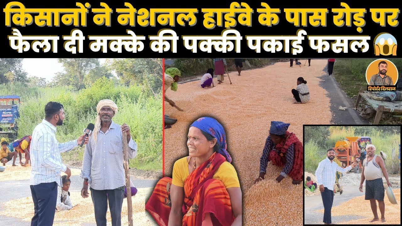 नेशनल हाईवे पर किसानों ने फैला दी मक्के की फसल — जानिए वजह क्या है