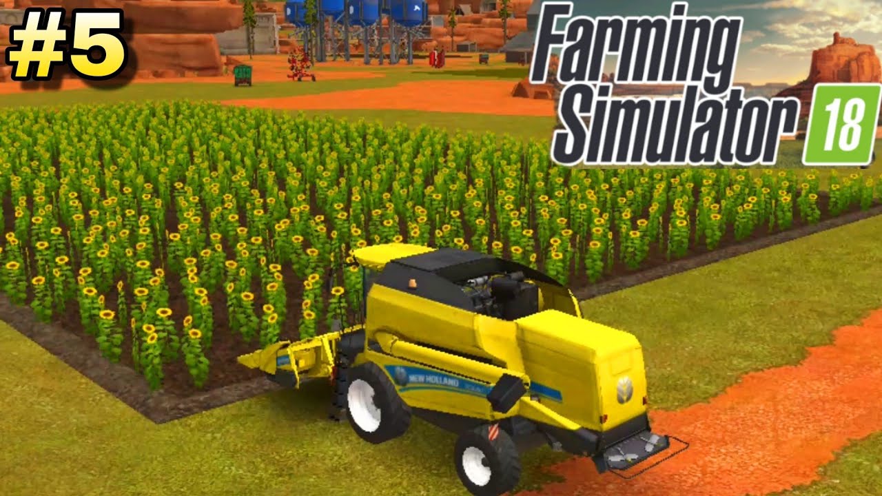 Plantando e Colhendo GIRASSOL - FS 18