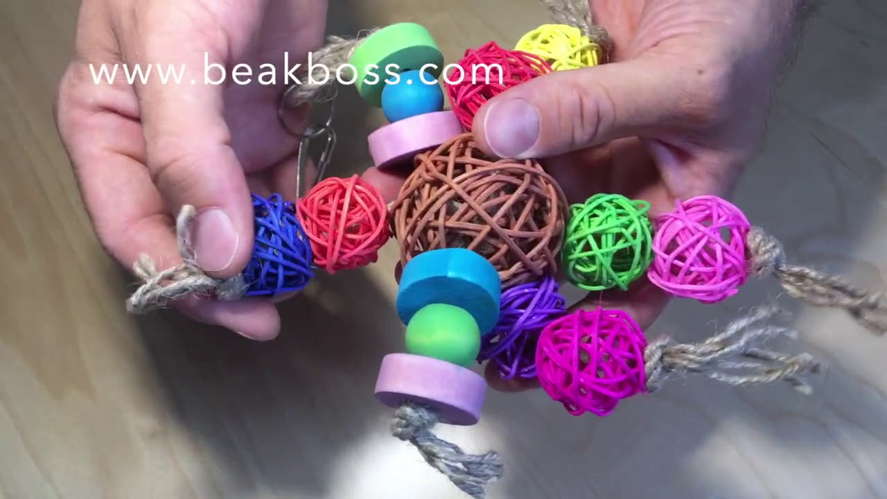 Gioco da appendere per Pappagalli by BeakBoss