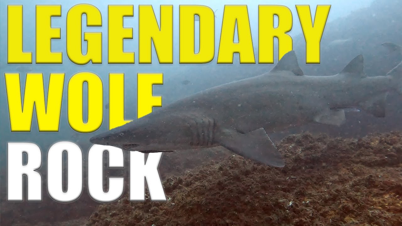 Scuba Diving The LEGENDARY WOLF ROCK In AUSTRALIA 🇦🇺