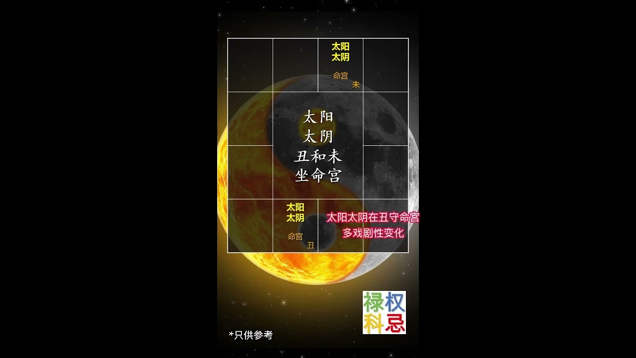 太阳太阴在丑未守命宫