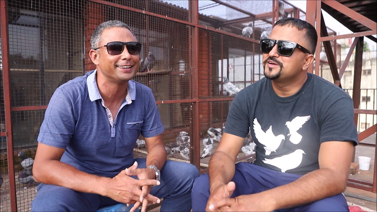 Pigeons From Nepal 4: Kabin Shrestha