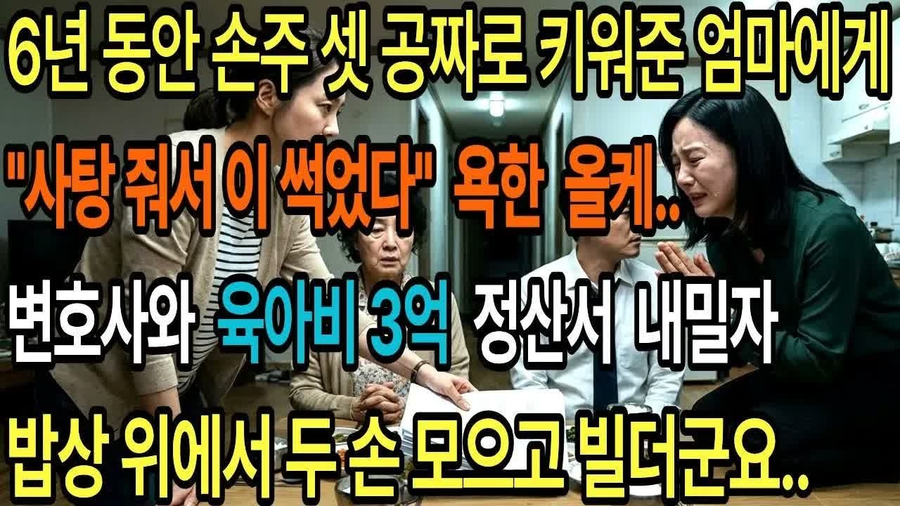 ＂시어머니가 애들 사탕 줘서 이 썩었다＂ 6년 동안 손주 셋 공짜로 키워준 우리 엄마 욕한 올케에게 변호사 불러 ＂육아비 3억 정산서＂ 내밀자 밥상에서 두 손 모으고 빌더군요