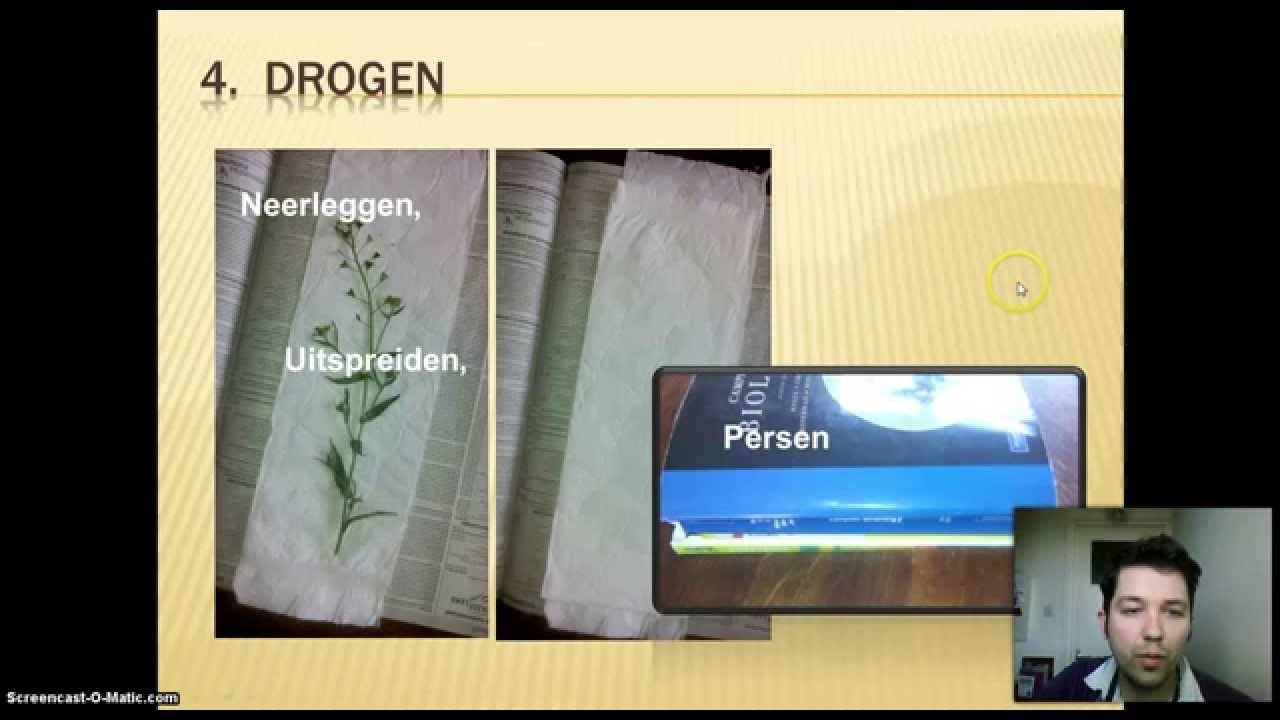 Herbarium maken