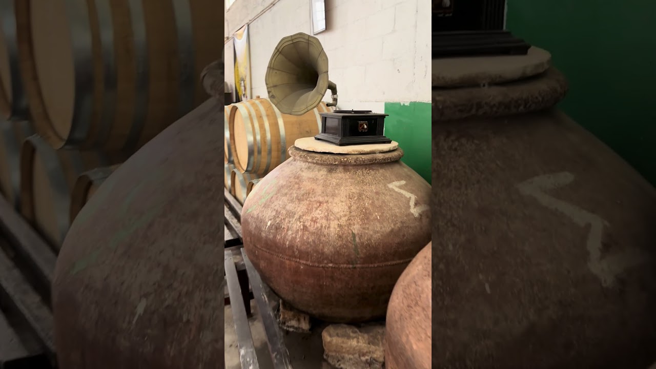 In winery on Cyprus that produces Commandaria