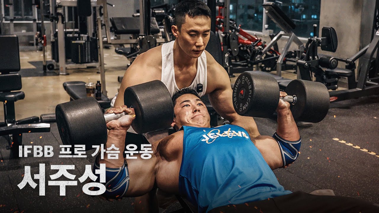 원모어 주성이의 노모어 머신 가슴 풀 루틴