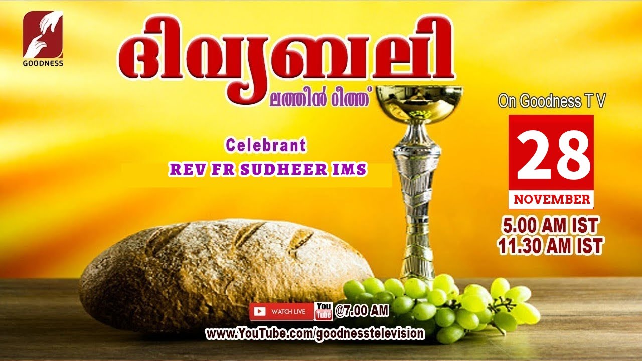 HOLY MASS MALAYALAM | 28 NOV 2025 |LATIN MASS  |Rev Fr Sudheer IMS  |TODAY LIVE MASS |GOODNESS TV