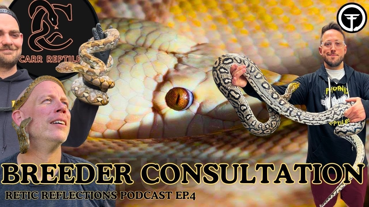 Breeder Consultation, Are You SURE You're Ready For It? | Retic Reflection Reptile Podcast Ep.4