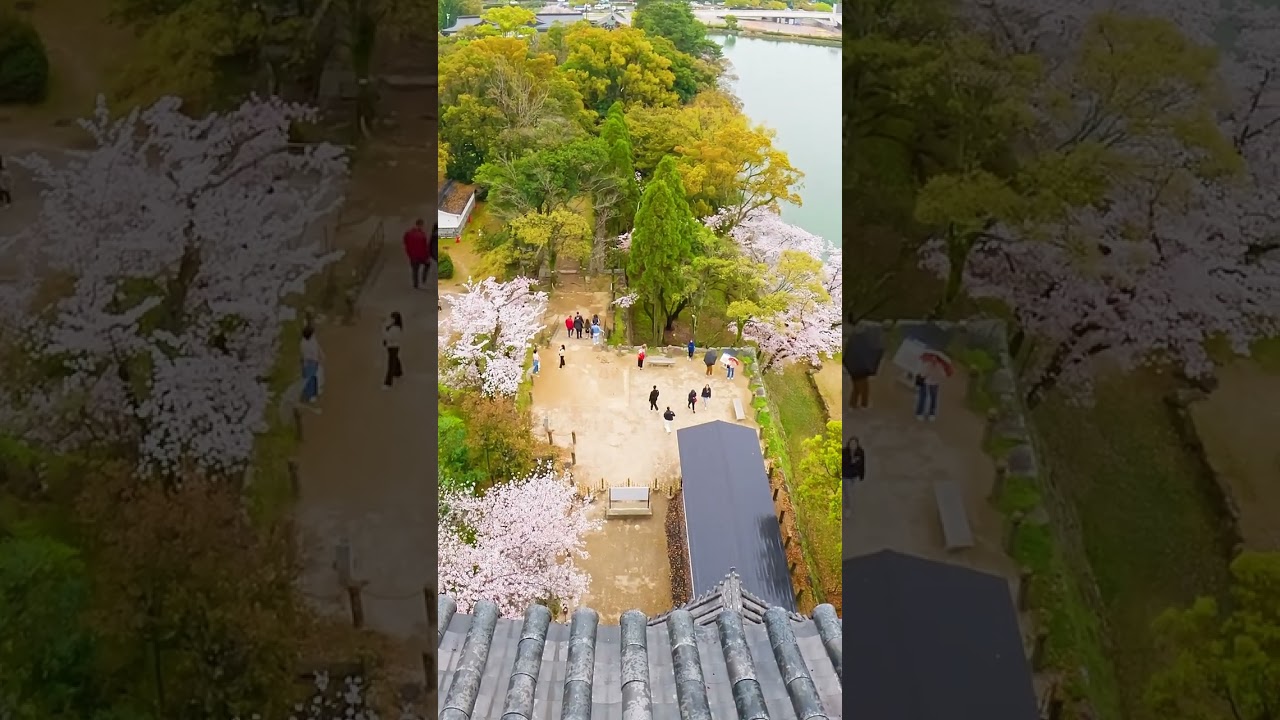 🏯 Exploring Hiroshima Castle | A Glimpse into Japan's History 🇯🇵 🏯