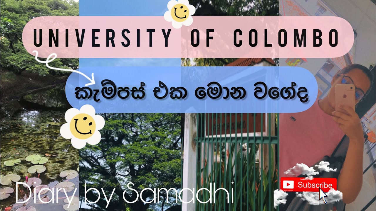 කොළ පාට ගස් අතර කොළඹ කැම්පස් එක 🍃| University of colombo | සිංහල Vlog |