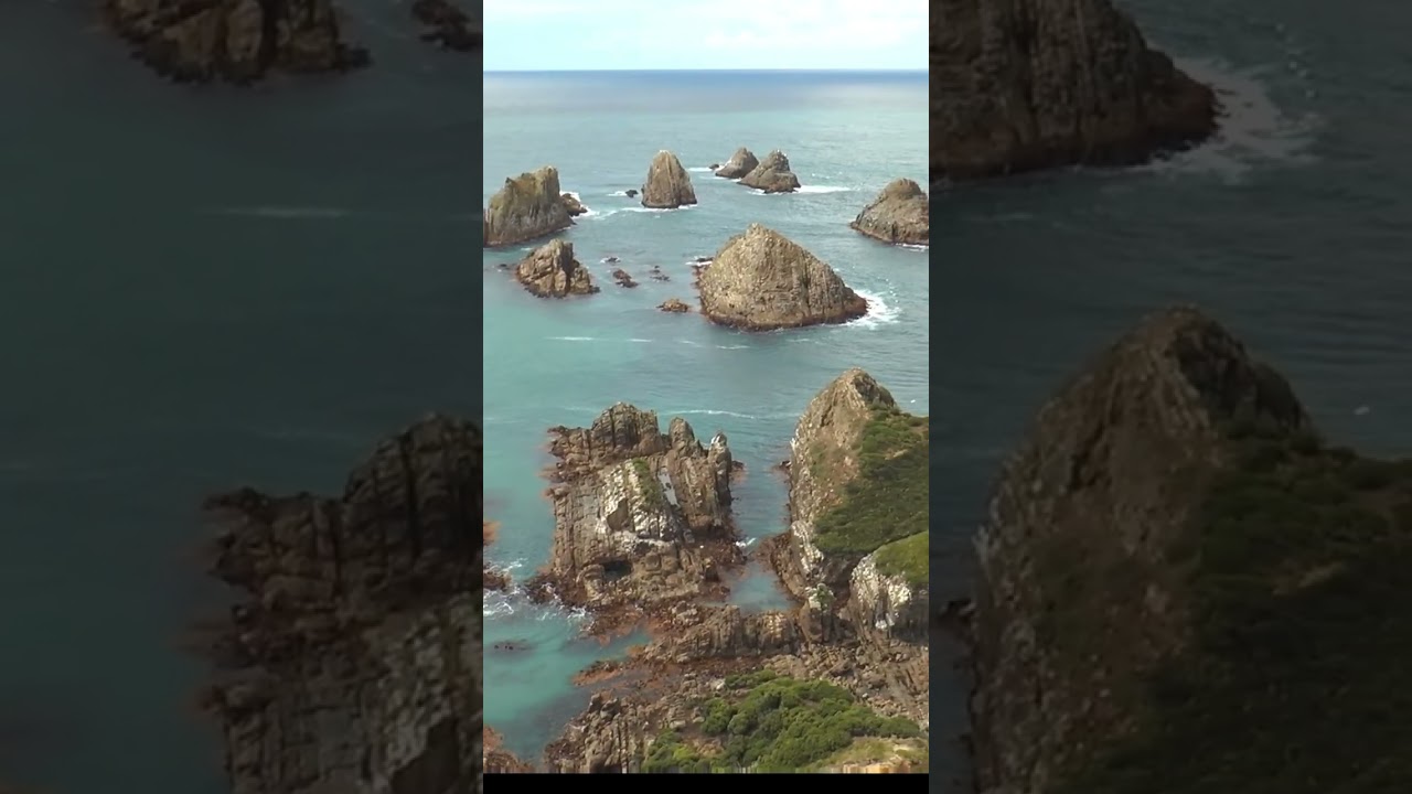 Incredible! The Catlins, Nugget Point Lighthouse #newzealand #travelvlog