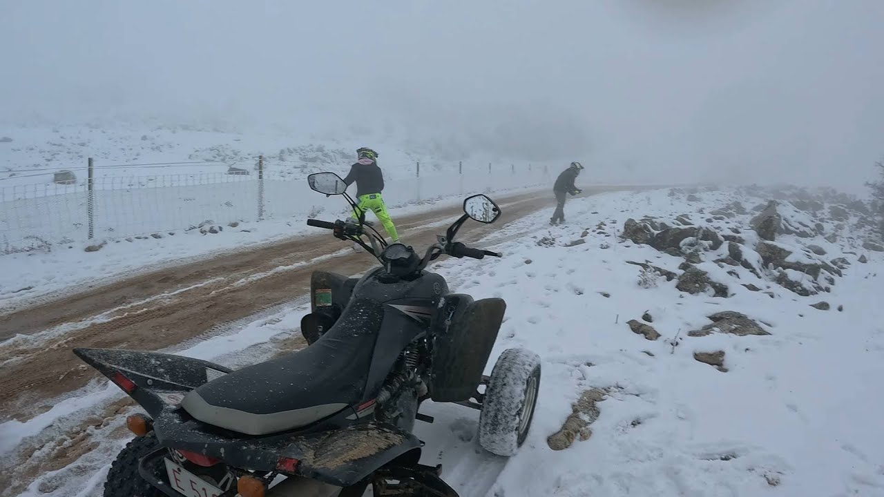 MUCHA NIEVE | (SALE REGULAR)🏔️❄️😵