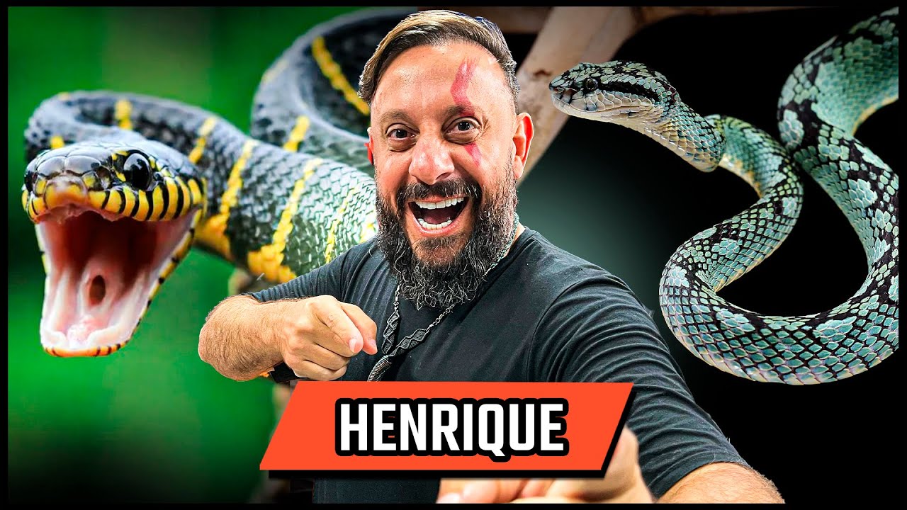 BIÓLOGO HENRIQUE - ENCANTADOR DE SERPENTE - PODCAST 3 IRMÃOS #687
