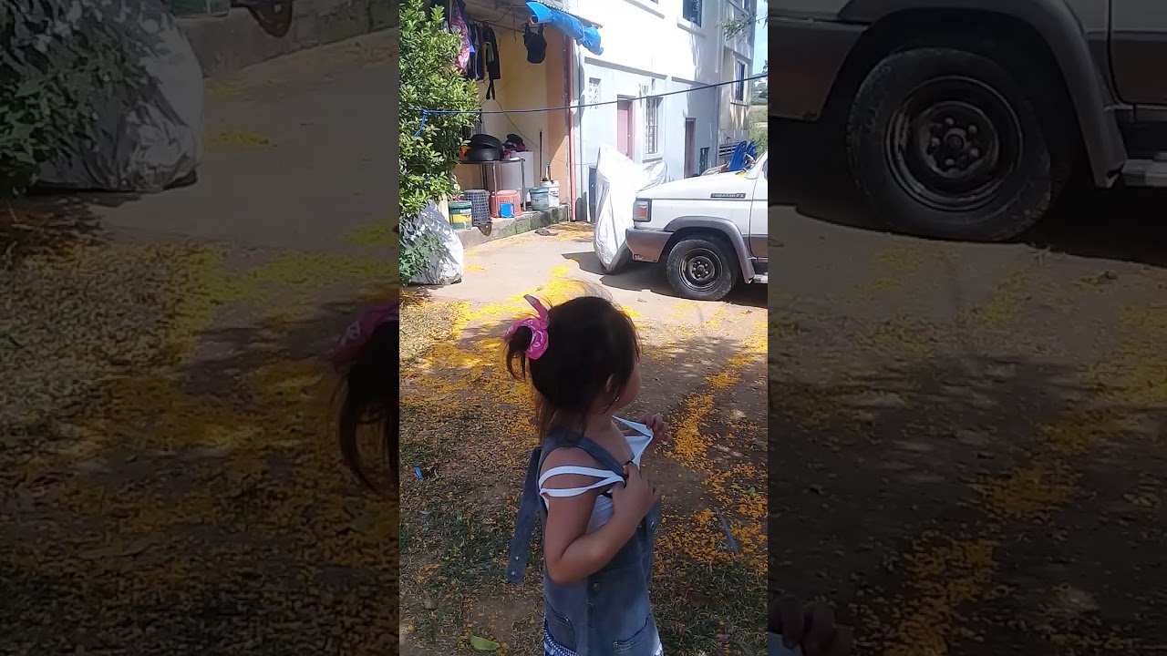 Sam namangha naglalagasang flower ng puno