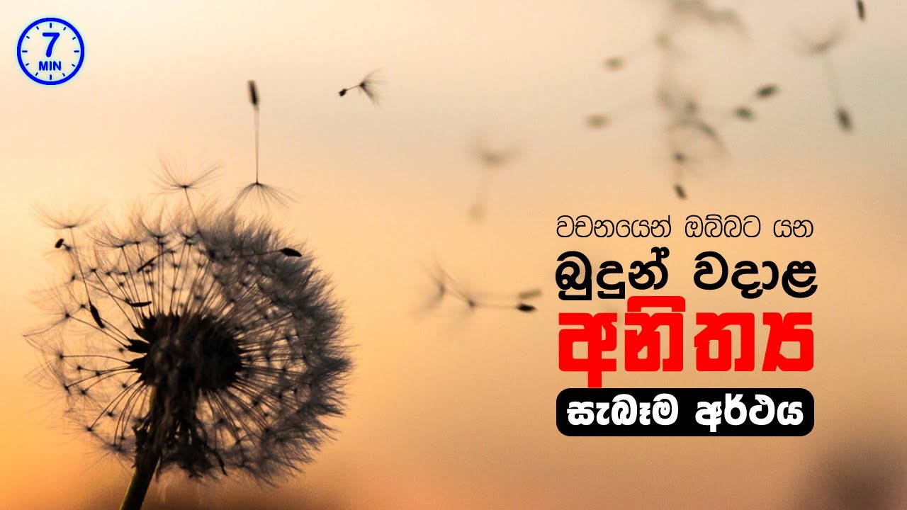 බුදුන් වදාළ අනිත්&zwj;ය - සැබෑම අර්ථය (විනාඩි 7) #shorvideo
