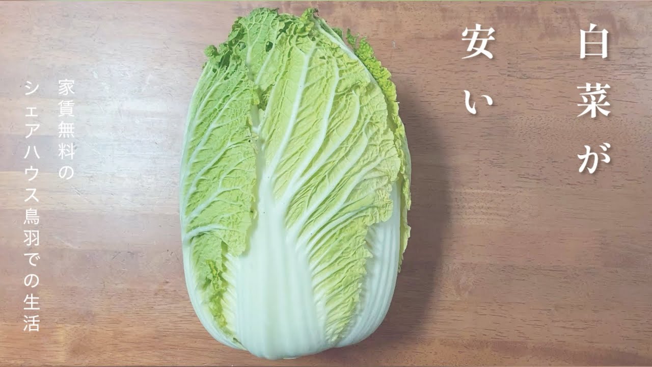 237話　白菜が安い