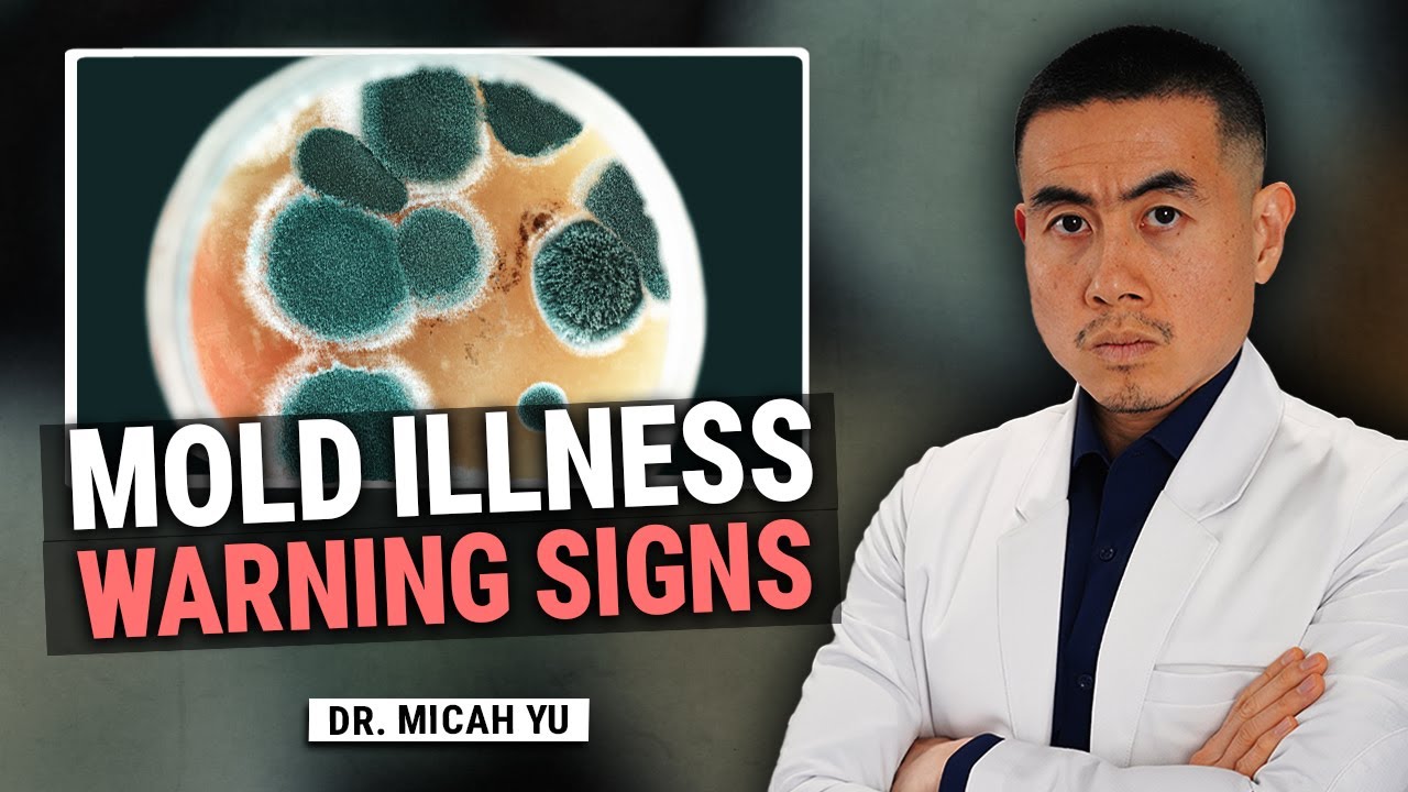 What Mold Toxicity Does to your Health and How to Treat It