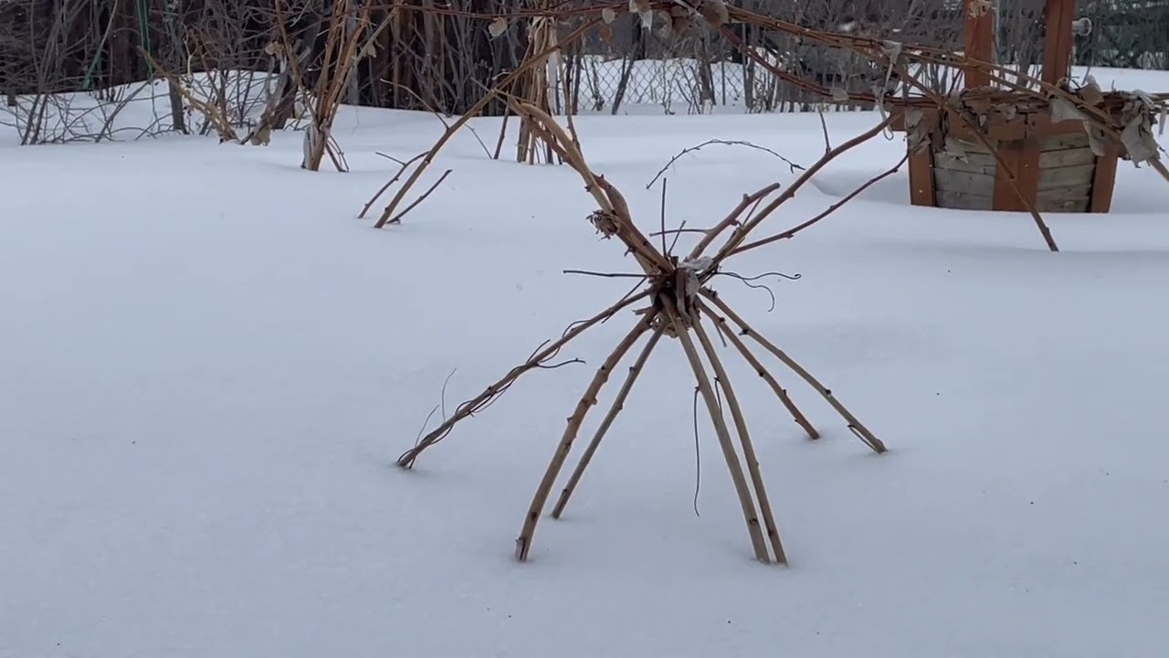Начало весны❄️☀️