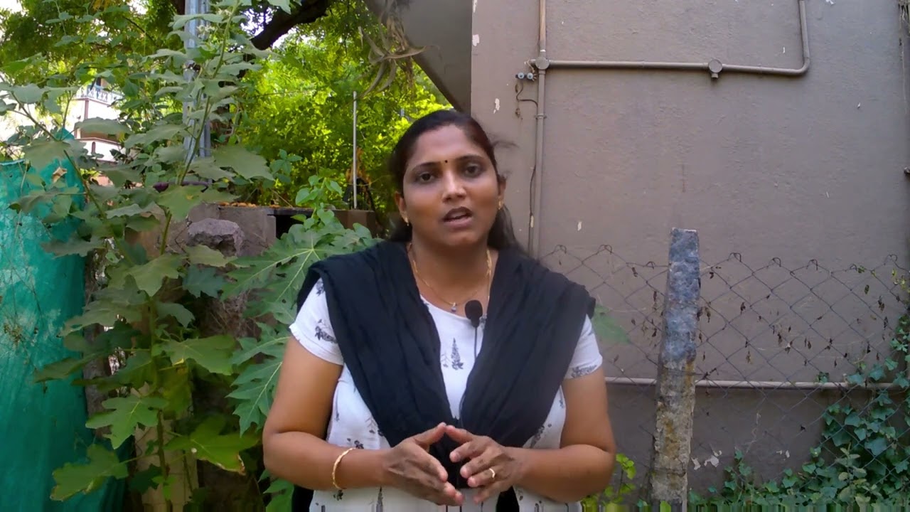 கம்பாட்டம் நிக்குறான்