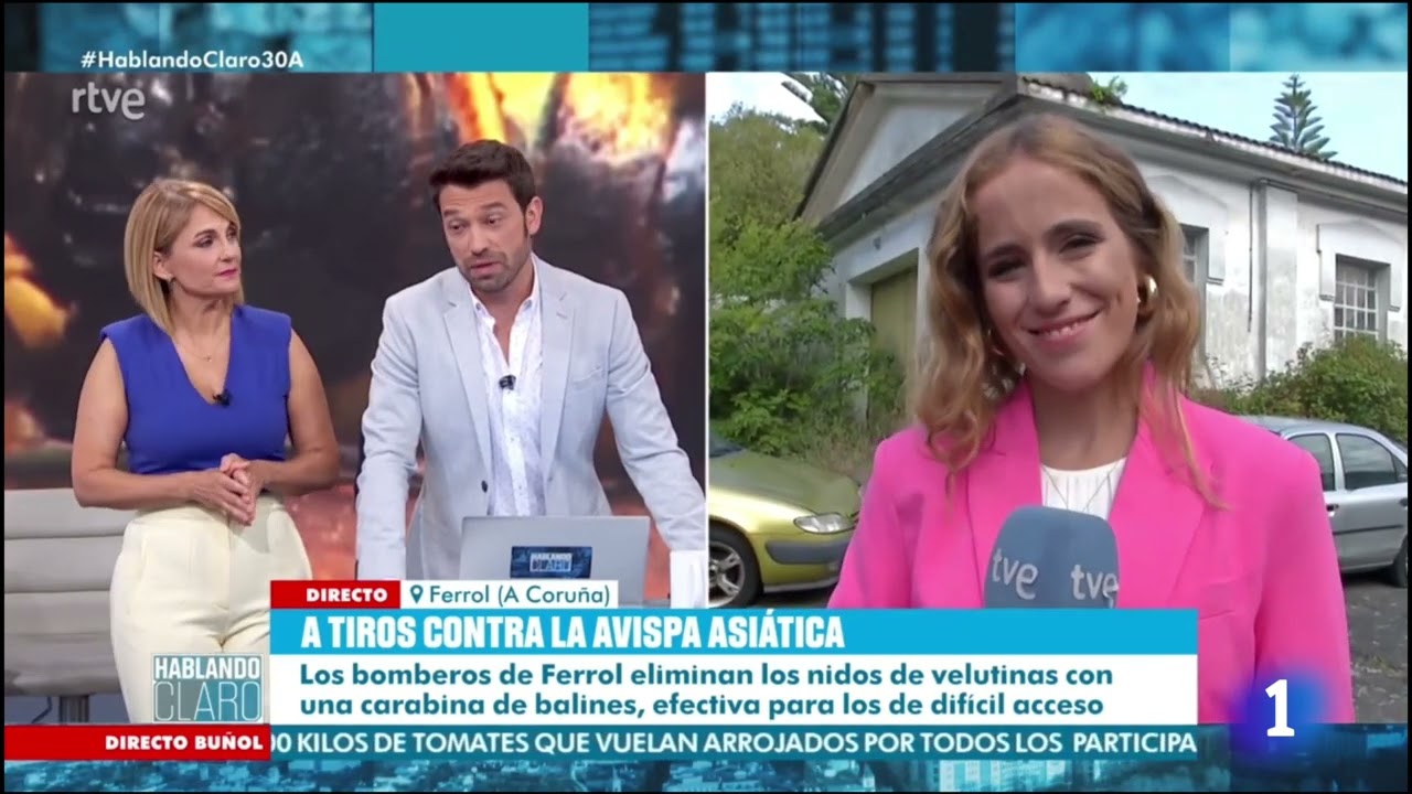 UNA ESCOPETA CONTRA LAS VELUTINAS (Ferrol, A Coruña) I  Hablando Claro (TVE)