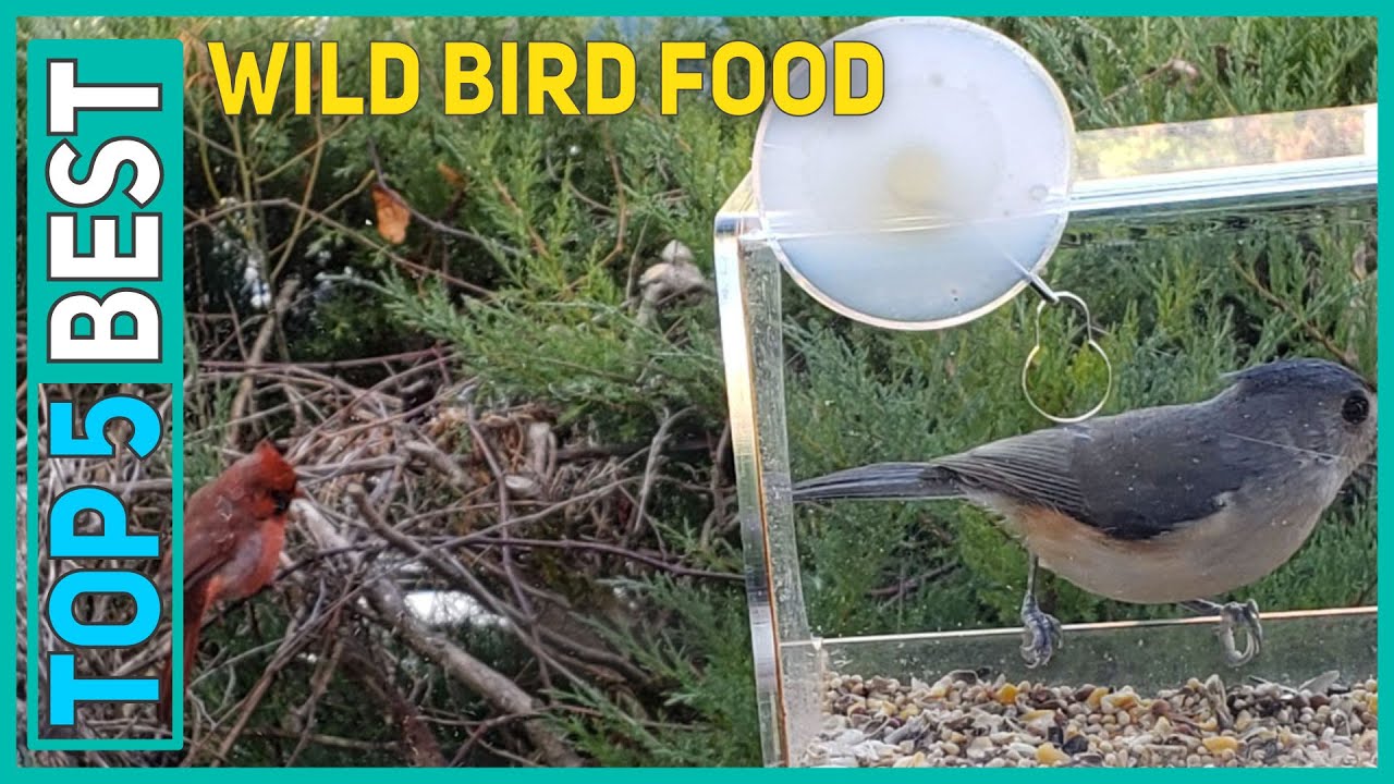 5 Best Wild Bird Food 2021