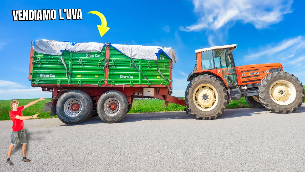 CONSEGNAMO L'UVA alla CANTINA con IL TRATTORE