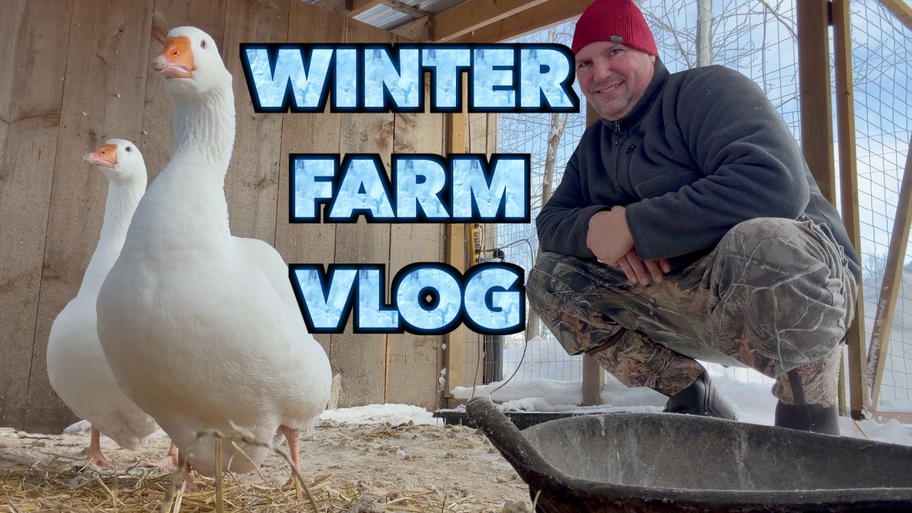 Bitter Cold is Making Life Difficult on the Farm