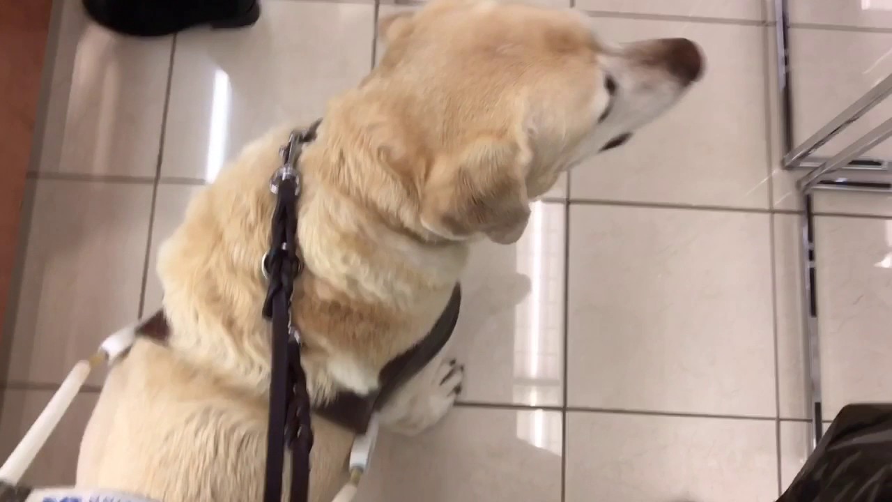 Many people do not know how to give directions to a blind person. Watch and learn.