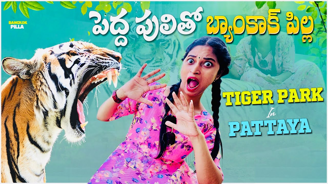 పెద్దపులితో బ్యాంకాక్ పిల్ల ముచ్చట్లు.. || Pattaya Tiger Park || Bangkok Pilla