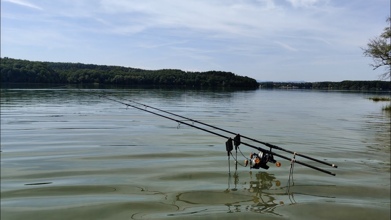 BRANIA RYB MIX CARP RUN COMPILATION