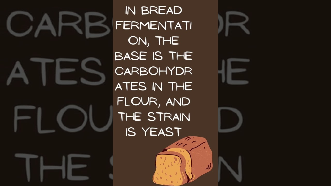 Fermentation By Yeast!!