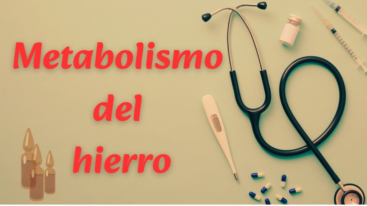 🩸 METABOLISMO DEL HIERRO: Energía, defensas y vida en equilibrio
