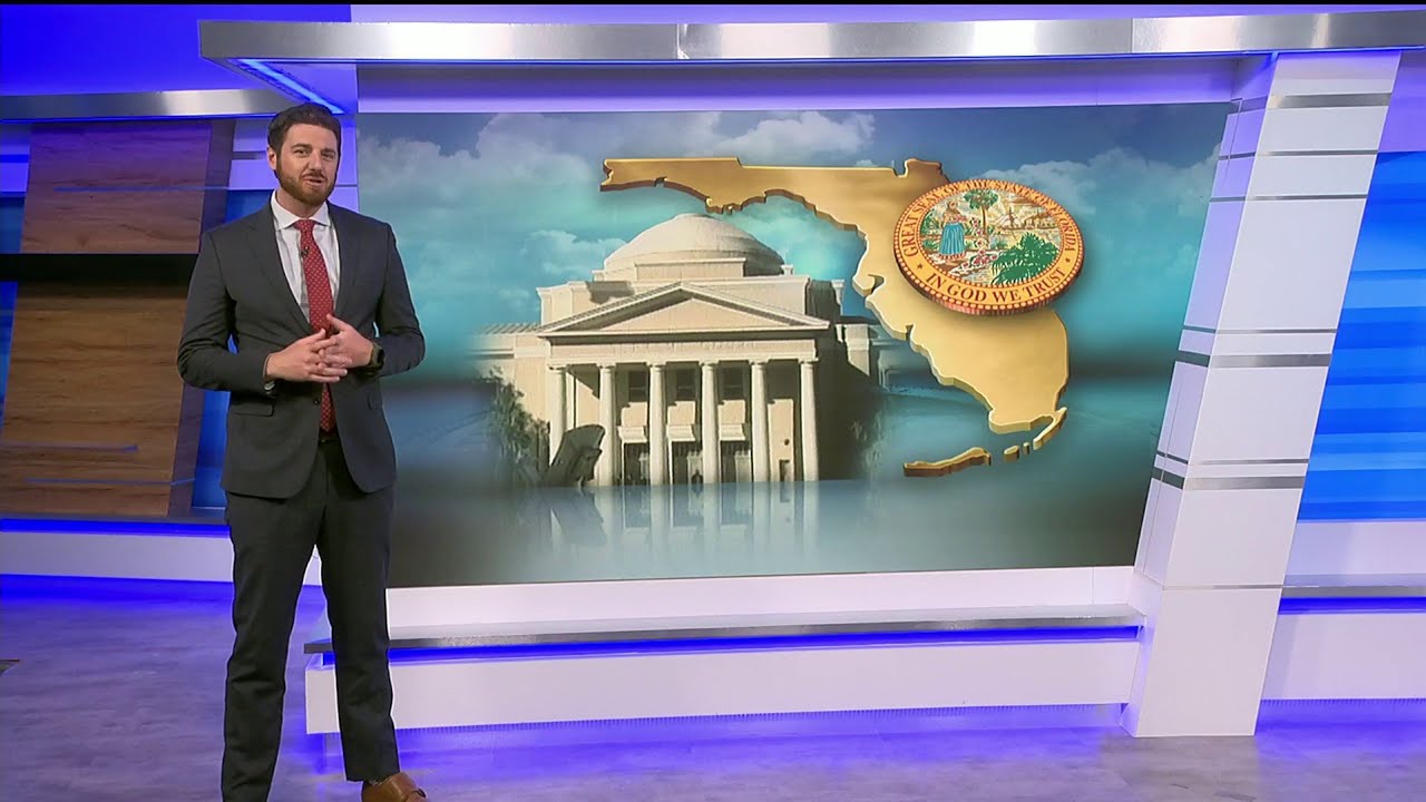 Florida legal issues that could end up on your ballot soon