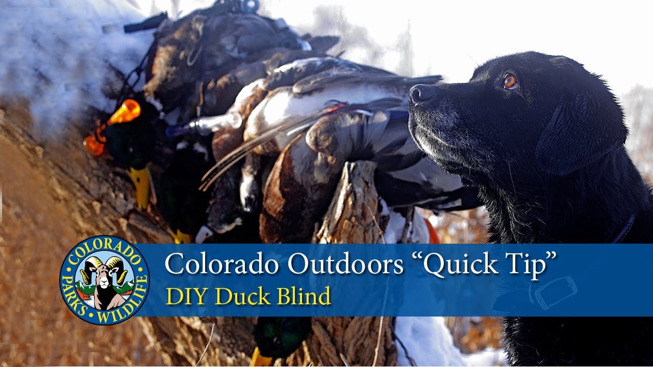 DIY Duck Blind