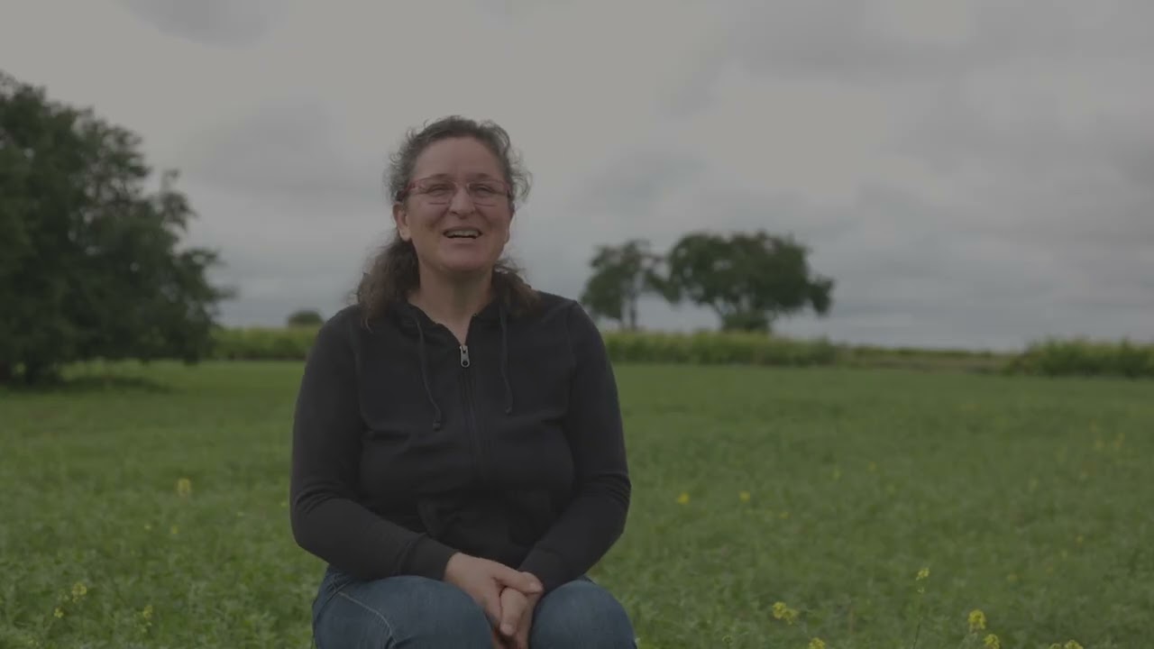 Désherbage du pois chiche : Méthodes biologiques pour une récolte réussie