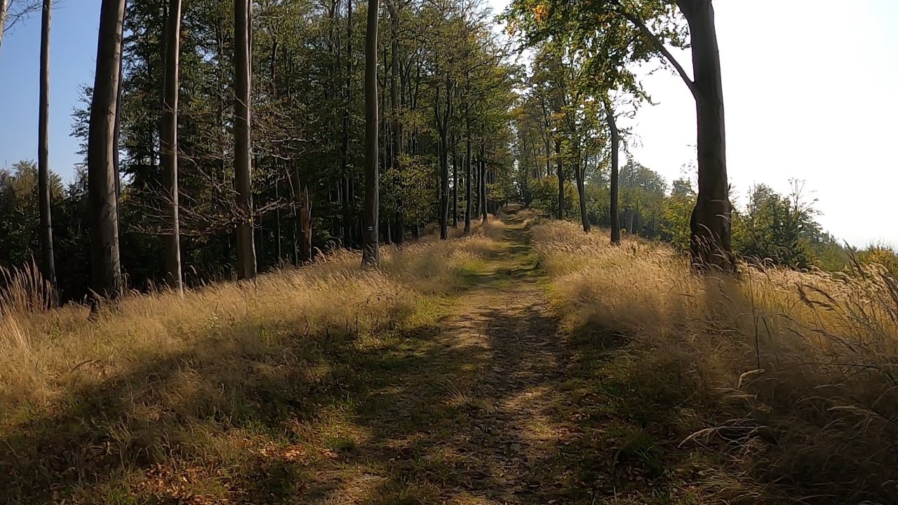 A Börzsöny legmagasabb csúcsára a Csóványosra, MTB kerékpártúra