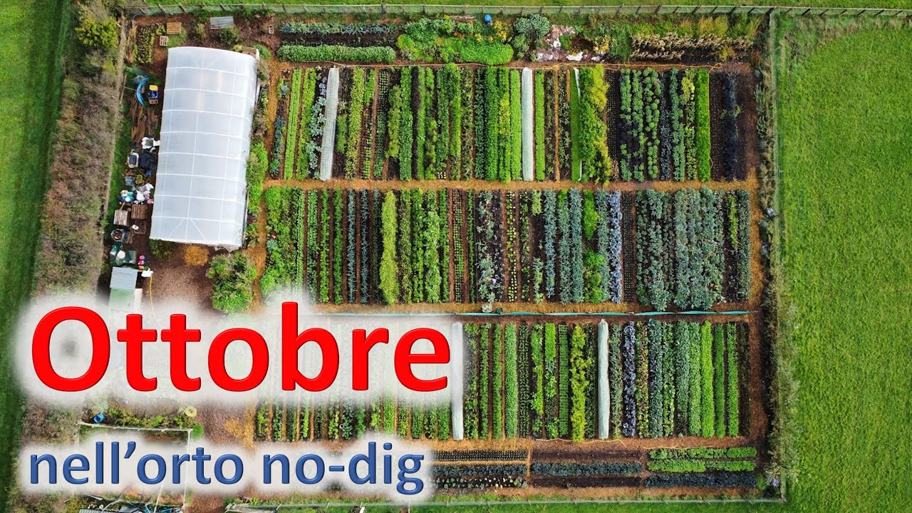 Ottobre nell'orto no-dig