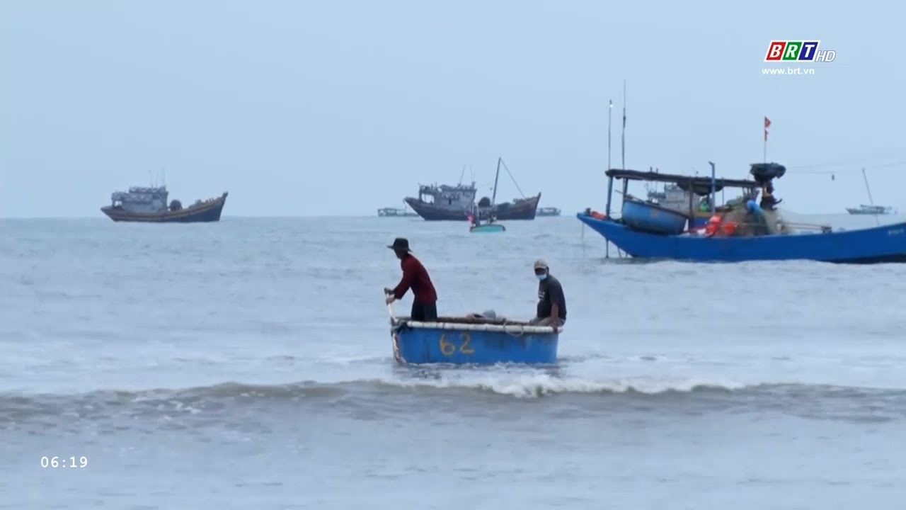 Ngư dân thị trấn Long Hải vào mùa đánh bắt cá trích | BRTgo