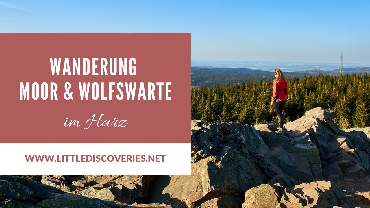 Torfhausmoor und Wolfswarte | Wanderung im Harz | Little Discoveries
