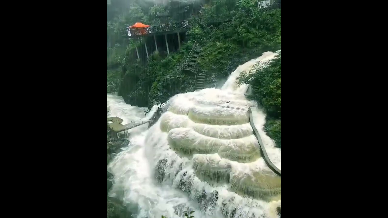 amazing video