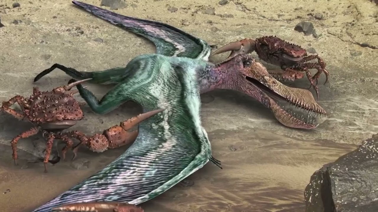 Anhanguera's First Flight - Dinosaur Revolution resounded with Primeval Music