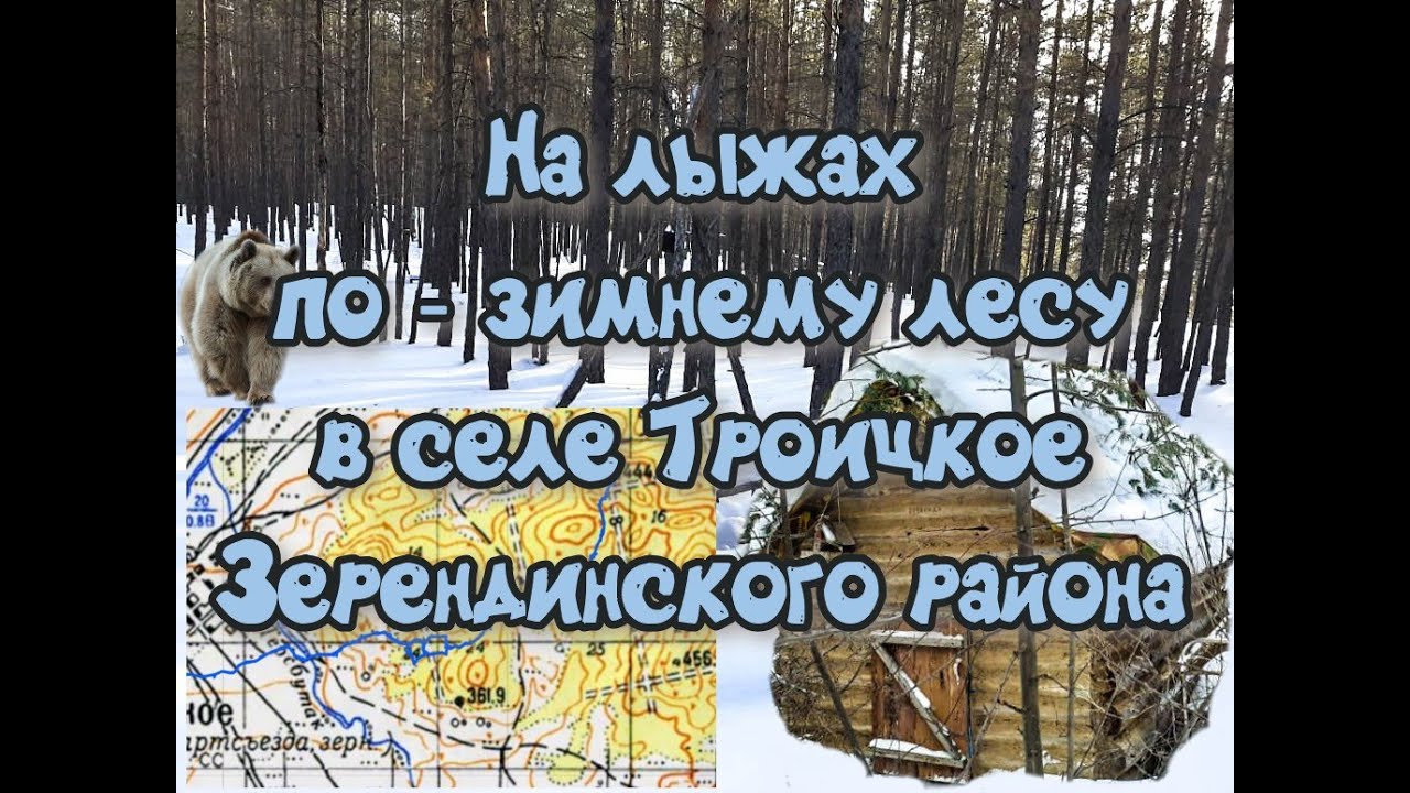 Зимняя прогулка по лесу в селе Троицкое Зерендинского района