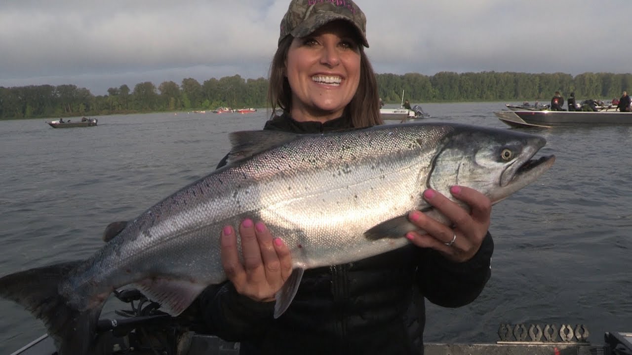 Clackamas River Salmon & Lower Columbia Spinner Chinook