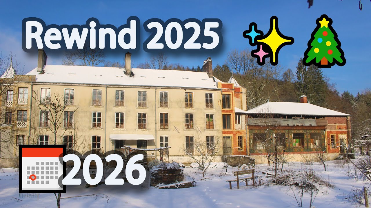 2025 Rewind, 2026 Wishes and Plan