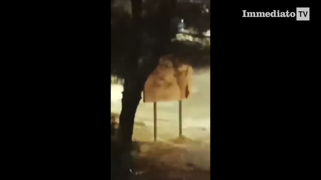 NUBIFRAGI NEL FOGGIANO, FORTI DISAGI NELL'ALTO TAVOLIERE